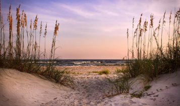 Georgia Water Temperature Forecasts & current water temp